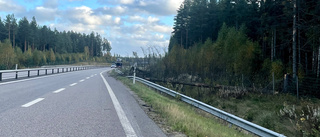 Kommunen varnar för fallande träd – dragit med sig belysningsstolpar i Eskilstunas motionsspår