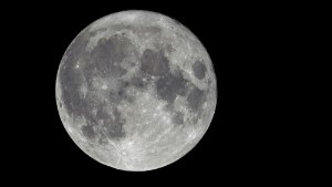 Australien vill odla växter på månen