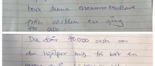 Kvinna frias för stämpling till mord – brottsplanen var för "verklighetsfrånvänd"