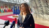 Ungern ber om tolerans i EU