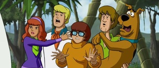 Scooby-Doo-Velma kommer ut som lesbisk