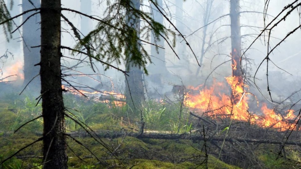 Skogsbranden utanför Tuna orsakades sannolikt  genom vårdslöshet. Bilden är tagen vid ett annat tillfälle.