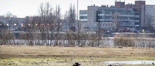 Expert: I värsta fall hotar kaos i Kaliningrad