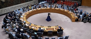 Nytt krismöte i säkerhetsrådet