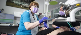 Tandläkare uppmanar patienter att söka hjälp utomlands: "Vi måste neka 10-15 personer varje dag"