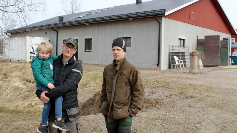 På slakteriet som syns bakom Håkan och Anton Jonsson ska det läggas solceller. Solcellerna beräknas generera halva gårdens elförbrukning. 