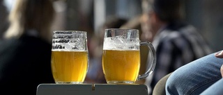 Nybildat bryggeri satsar i Uppsala