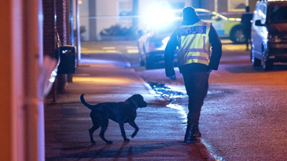 Polis, kriminaltekniker och hundförare arbetade i området där en man sköts till döds i centrala Hörby en kväll i februari.