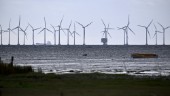 Oenigt om vindkraft – kampen om havet har börjat