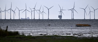 Oenigt om vindkraft – kampen om havet har börjat