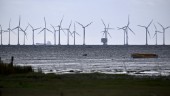Vindkraft riskerar skada Östersjön