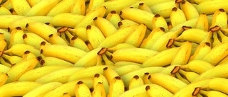 Bananen har en baksida vi sällan ser