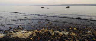 Östersjön kommer förvandlas till en insjö