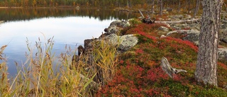Stora naturvärden skyddas i Norrbotten