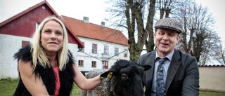 Gotländsk lammgård prisad på nytt