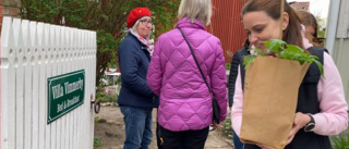 TV: Trädgårdsmarknad på innegård i Vimmerby: "Det behöver hända något på söndagarna"