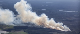 Satelliter hjälper i kampen mot skogsbränder