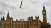 Brittisk politiker misstänkt för våldtäkt