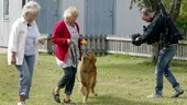 Barbro kan enkelt lära gamla hundar att sitta TV-programmet Hundskolan spelas in på Gotland