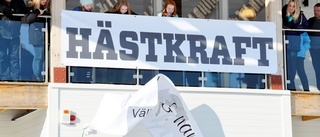 Projektet Hästkraft väljer väg - här är alternativen