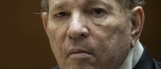 Våldtäktsdömde Weinstein tänker överklaga