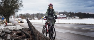 Cykelbanan totalförstörd efter plogning – Ewa tvingas ut på bilvägen istället: "Det ser ut som en krigszon"