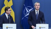 Stoltenberg: Sverige medlem före Natotoppmöte