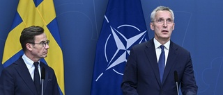 Stoltenberg: Sverige medlem före Natotoppmöte