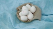 Välj Krav-märkta ägg i påsk   