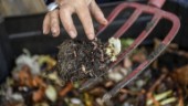 Anmäl kompostering – få sophämtning var fjärde vecka