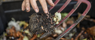 Anmäl kompostering – få sophämtning var fjärde vecka