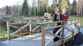 Ännu en park renoveras i Skellefteå: ”Vi gör ett klassrum utomhus för skolor och förskolor” • Blir även fler grillplatser