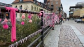 Kamp mot bröstcancer på Dombron – Gerillaslöjden drar nyfikna blickar: "Man får ju inte göra så här egentligen"