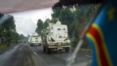 Kongos regering: Fler än 100 döda i massaker