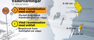 Snösmockan drabbade Gotland – SMHI varnar