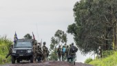 Östafrikanska ledare vädjar till vapenvila