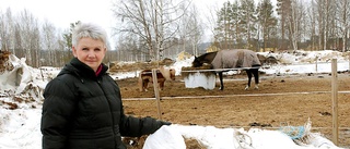 Får inte lämna balplast på tippen