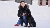 Enda instruktören hos SoS i Skellefteområdet • Jennichen utbildar assistanshundar: ”Otroligt vad de här hundarna gör för oss människor”