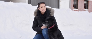 Enda instruktören hos SoS i Skellefteområdet • Jennichen utbildar assistanshundar: ”Otroligt vad de här hundarna gör för oss människor”