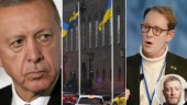 Osmakliga dockaktionen mot Erdogan var laglig – men Billströms gormande och ursäkter hotar yttrandefriheten