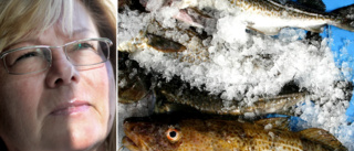 NY STUDIE • Kan man äta gotländsk fisk? • ”Gotlands fiskeflotta ett riksintresse”