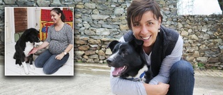 Valpen levde på gatorna i Bhutan • Syskonet hittades överkört • Sara från Boden tog hem hunden: "Hon var ju så fin"