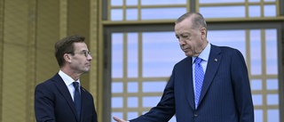 Sluta fjäska för Turkiet – låt Natoansökan vila