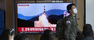 Fler robotar avfyrade från Nordkorea