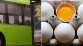 Nya "halloweenbus": Flygande ägg träffade bakrutan på buss och mopedbil i centrum – ett ofredande