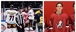 Hästen-talangen historisk – yngste utespelaren i hockeyallsvenskan: "Gått med pirr i magen i två dagar"