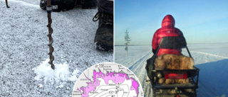 Så långt har isen lagt i Bottenviken: "Ovanligt tidigt"