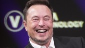 Tesla vinnare när Wall Street lyfte