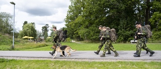 Sätt in militär i Linköping – låt inte gangsters ta över