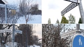 Listan: Årets vägbyggen i Skellefteå – här ska det grävas